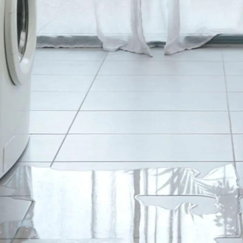 Appliance Leak Cleanup in Mokena, IL