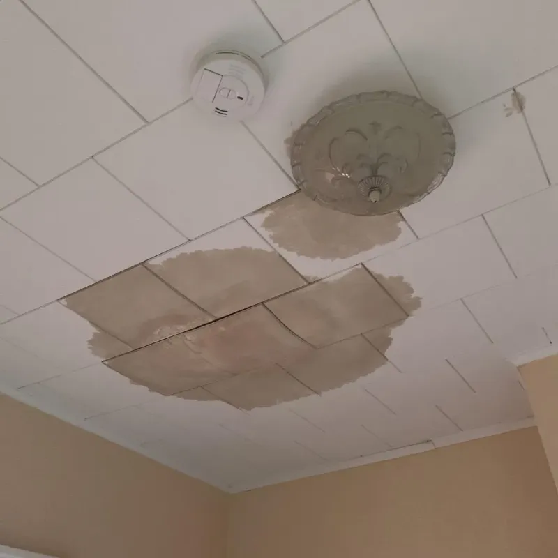 Ceiling Water Damage Repair in Mokena, IL