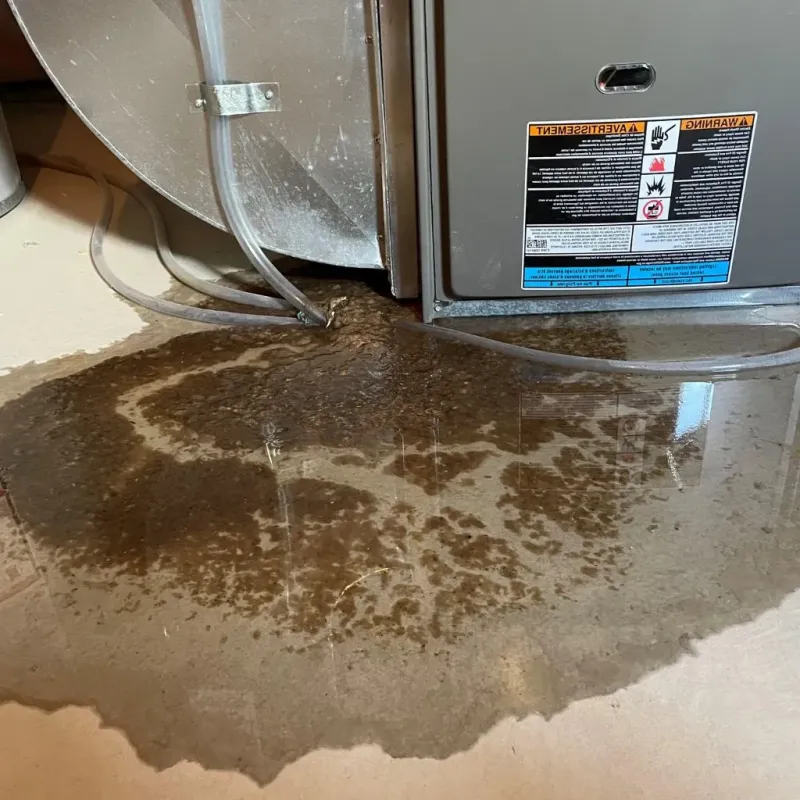 Pipe Burst and Leak Restoration in Mokena, IL